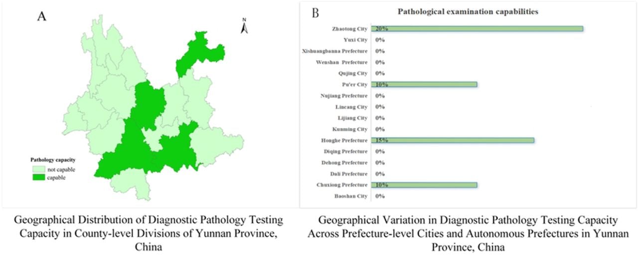 Pathological Examination Capabilities Across Prefectures and Cities in Yunnan Province