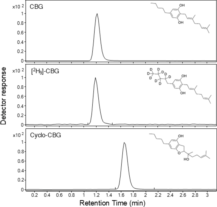 Representative extracted ion chromatograms for CBG (top), internal standard [2H9]-CBG-CBG (middle), and cyclo-CBG (bottom).