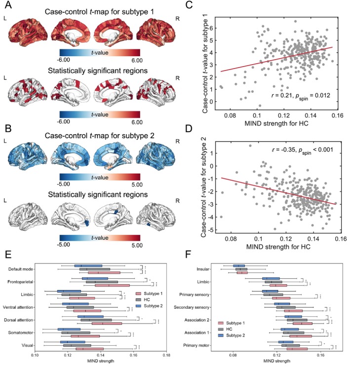 MDD subtypes‐related regional changes in MIND. (A) Case–control comparison of regional MIND strength between MDD subtype 1 patients and HC. Subtype 1 patients showed regional increased MIND. (B) Comparison of regional MIND strength between patients with MDD subtype 2 and HC. In patients with subtype 2, MIND was significantly reduced only in the left medial orbitofrontal, right inferior temporal, and posterior cingulate cortex. (C) A scatterplot of mean control MIND vs. case–control t values for subtype 1 indicated a positive spatial correlation with regional MIND strength in HC (r = 0.21, p spin = 0.012). (D) A scatterplot for subtype 2 presented a negative spatial correlation between case–control t values and regional MIND strength in HC (r = −0.35, p spin < 0.001). (E) Analysis of MIND differences in Yeo functional networks between MDD subtype patients and HC showed that subtype 1 patients had elevated MIND strength across all networks (Bonferroni‐corrected p < 0.017), while subtype 2 patients had diminished MIND strength, primarily affecting somatomotor, dorsal attention, limbic, frontoparietal, and default mode networks (Bonferroni‐corrected p < 0.017). (F) Examination of MIND variations in von Economo networks indicated that subtype 1 patients had notably increased MIND strength in primary motor, association 1 and 2, secondary sensory, primary sensory, and limbic networks (Bonferroni‐corrected p < 0.017). In contrast, subtype 2 patients showed reduced MIND strength in the primary motor, association networks 1 and 2, and limbic networks (Bonferroni‐corrected p < 0.017) (*p < 0.017, **p < 0.003, ***p < 0.0003).