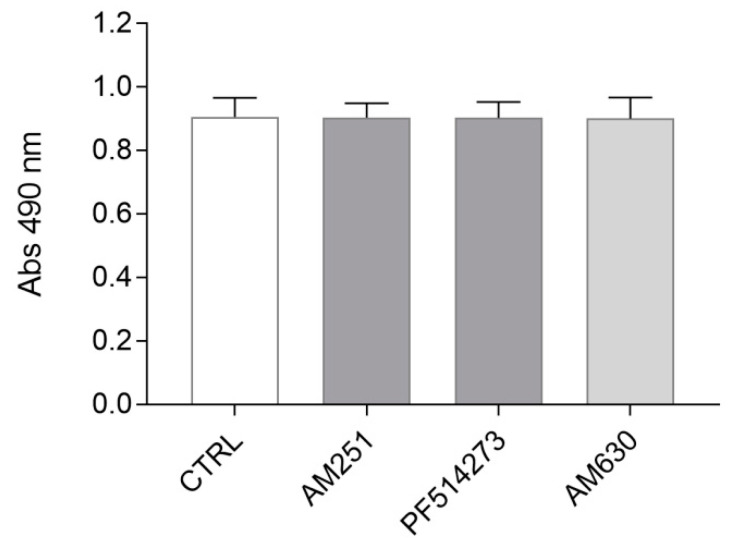 Evaluation of CB1/CB2 blockade effects on ST14A cell number. ST14A were treated for 24 h with 250 nM AM251 or 50 nM PF514273 (CB1 antagonists), or 300 nM AM630 (CB2 antagonist), then an MTS assay was performed. No effect on ST14A cell number was observed in treated cells, in respect to control (CTRL, medium plus 0.05% DMSO). Data from the MTS assay are expressed as mean ± standard deviation (SD) of the absorbance (λ = 490 nm); n = 8 replicates, 3 independent experiments.