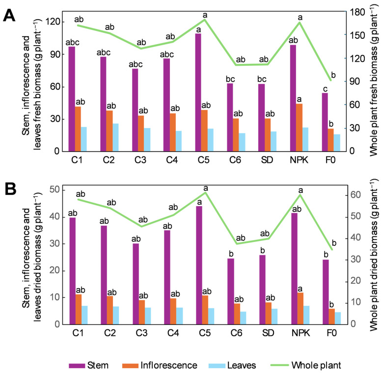 Effect of the different treatments on the fresh (A) and dried (B) biomass accumulation in the stem, inflorescences, leaves, and whole hemp plant. C1–C6, composts 1–6; SD, non-composted solid digestate; NPK, inorganic fertilization; F0, no fertilization. For each tissue, different lower-case letters represent significant differences among treatments (Tukey’s test p ≤ 0.05).