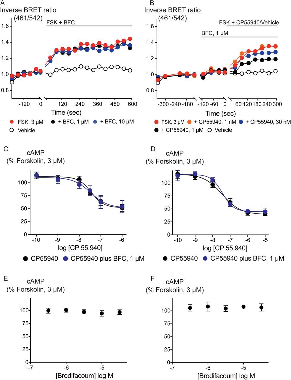 Brodifacoum (BFC) does not modulate cAMP accumulation via CB1 or CB2 receptors expressed in HEK 293 cells.Representative data from the CAMYEL assay for HEK 293 cells expressing CB1 receptors, an increase in inverse BRET ratio (emission at 461/542 nm) corresponds to an increase in cAMP. A) BFC does not affect the rapid increase in cAMP production produced by forskolin (3 µM); B) BFC (1 µM) does not affect responses to forskolin (3 µM) applied in the presence of CP55940. Data are representative of at least five independent experiments. Concentration response curve showing CP55940 induced inhibition of forskolin-stimulated cAMP elevation in presence and absence of BFC 1 µM on HEK 293 cells expressing C) CB1 or D) CB2. Data are expressed as a percentage of response produced by forskolin (3 µM), and plotted as mean ± SEM of five independent determinants performed in duplicate. Concentration response curve showing the effect of BFC on forskolin (3 µM)-stimulated cAMP elevations in HEK 293 cells expressing E) CB1 or F) CB2. Data are expressed as a percentage of response produced by forskolin (3 µM), and plotted as mean ± SEM of five independent determinants performed in duplicate.