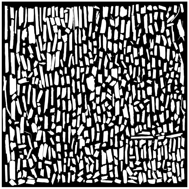Left: thresholded binary images showing the material structure. Right: detected contours of the analyzed structures in ImageJ.