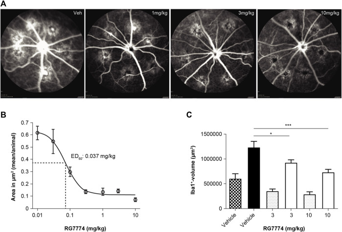 (A) Representative fluorescence angiography images (Heidelberg Engineering, Heidelberg Eye Explorer) of 6 laser-induced lesions per eye in rats treated with vehicle control (veh) or RG7774 1, 3, or 10 mg/kg via oral gavage, 1 day before and 7 days after laser injury. (B) Mean ± standard deviation (SD) lesion (hyperfluorescence) areas per eye determined by fluorescent angiography after intravenous (IV) injection of fluorescein in rats with laser-induced choroidal neovascularization (CNV) treated with vehicle control (n = 23 eyes) or RG7774 0.01 (n = 5 eyes), 0.03 (n = 5 eyes), 0.1 (n = 10 eyes), 0.3 (n = 5 eyes), 1.0 (n = 10 eyes), 3.0 (n = 13 eyes), 10 mg/kg (n = 13 eyes) via oral gavage. (C) Quantitative analysis of microglia migration toward laser-injured retinal regions in rats treated with vehicle control or RG7774 (3 and 10 mg/kg) via oral gavage. Data in (C) are shown as mean ± standard error of the mean (SEM) with 4, 5 and 5 stacks in non-lasered regions (patterned bars) and 24, 29 and 30 stacks in lasered regions for the vehicle, 3 and 10 mg/kg groups, respectively (solid bars). *p < 0.05; ***p < 0.001 based on 1-way analysis of covariance (ANOVA), followed by Newman–Keuls post hoc analysis. ED50: effective dose in 50% of animals.