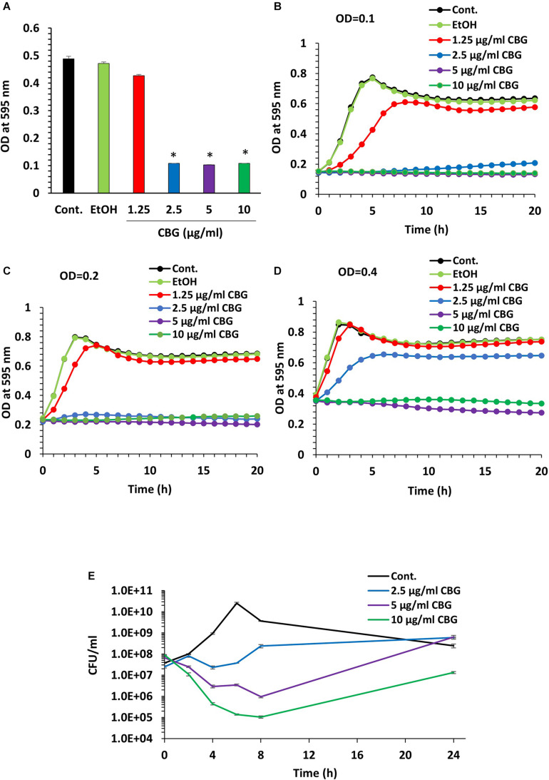 CBG halts the proliferation of planktonic growing S. mutans. (A) The viability of S. mutans after a 24 h incubation with increasing doses of CBG (0–10 μg/ml) as measured by OD595nm. n = 3; *p < 0.05. (B–D) A kinetic study of the planktonic growth of S. mutans in the presence of increasing concentrations of CBG (0–10 μg/ml) at starting OD600nm = 0.1 (B), 0.2 (C), and 0.4 (D). (E) The colony forming units of untreated and CBG (0–10 μg/ml)-treated bacteria at various time points. n = 3.