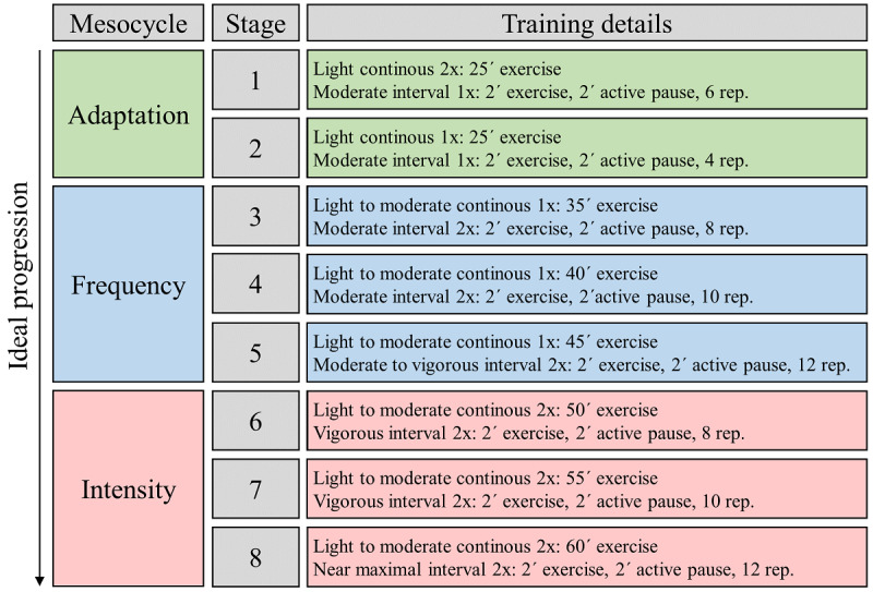 Ideal progression of training load from eight stages over the 8-week sport intervention period. Rep: repetitions.