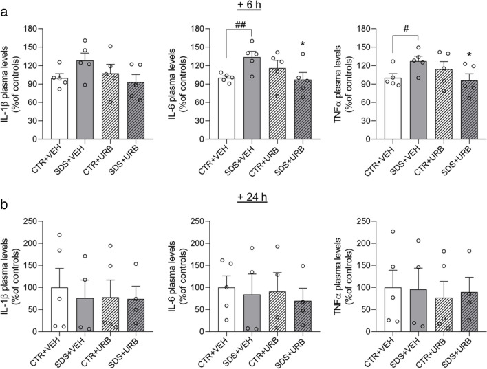 Plasma levels of IL-6, TNF-α and IL-1β measured 6 h (a) and 24 h (b) after social defeat stress /control procedure (n = 4/5 per group). Values are expressed as means (± SEM). Abbreviations: SDS = social defeat stress; CTR = control; VEH = vehicle; URB = URB937. # and ## = p < 0.05 and p < 0.01, respectively; * = p < 0.05 versus STR + VEH value