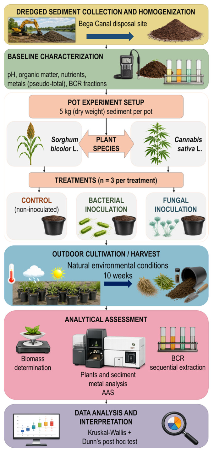Schematic overview of the experimental workflow and methodological scope of the study.