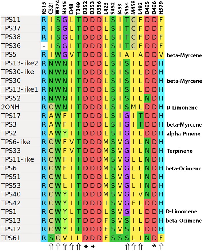 Monoterpene synthase active site residues.Alignment of active site residues for Family B TPS genes. For characterized enzymes the most abundant product with GPP as substrate are shown on the right. Residues indicated with an asterisk (*) are essential for enzyme activity, while those indicated with arrows, if changed will alter the product profile of the enzyme. Amino acid numbering is according to the alignment in Dataset S4 of [9].