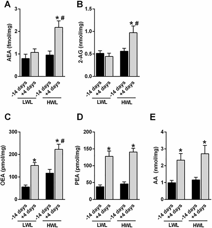 Levels of eCBs in the AT of HWL and LWL dairy cows.Cows were categorized as either high-weight loss (HWL, n = 9) or low-weight loss (LWL, n = 9), based on the percentage of BW loss between week 1 and 5 postpartum. Arachidonic acid (AA), 2-arachidonoylglycerol (2-AG), anandamide (AEA), oleoylethanolamide (OEA), and palmitoylethanolamide (PEA). Data represent the mean ± SEM. *P<0.05 vs. -14 days of the same group. #P<0.05 vs. +4 days of the LWL cows.