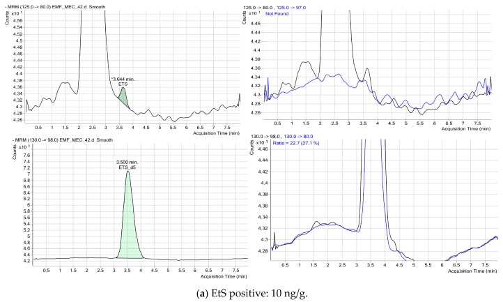 Chromatogram in two meconium samples testing positive for EtS. The retention time of substance ranged from 4.5 to 5.5 min depending on the column life span. The black line depicts the quantitative transitions and the blue line depicts the qualitative transitions. The green shade represents the quantification of EtS using the calibration curves. The “multiple reaction monitoring” (MRM) program takes into account the following transitions: EtS quantifier 125 > 80 and qualifier 125 > 97, and internal standard (EtS-d5) quantifier 130 > 98 and qualifier 130 > 80. (a) sample EMF_MEC_42 with a positive concentration of 10 ng/g; (b) sample EMF_MEC_12 with a positive concentration of 19.57 ng/g.