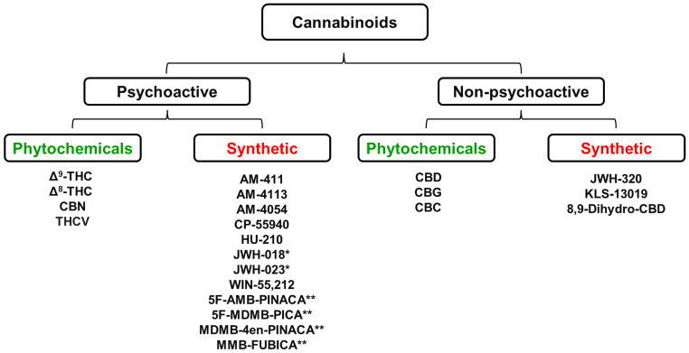Some of the most abundant cannabinoids present in the Cannabis sativa plant together with a range of chemically synthesized analogues of these naturally occurring cannabinoids * Denotes “first generation” synthetic psychoactive cannabinoids that have been detected in samples of the illegal substances “Spice” and “K2”. ** Denotes “second generation” synthetic psychoactive cannabinoids that have been detected in samples of the illegal substance called “Incense”. CBC, Cannabichromene; CBD, Cannabidiol; CBG, Cannabigerol; CBN, Cannabinol; Δ9-THC, Δ9-Tetrahydrocannabinol; Δ8-THC, Δ8-Tetrahydrocannabinol; THCV, Tetrahydrocannabivarin. Figure created by the authors.