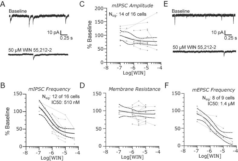 Endocannabinoid receptors modulate synaptic activity in the lateral parabrachial nucleus. (A) Representative recordings of mIPSC at baseline (top) and in the presence of 50 μM WIN 55,212–2. The CB1R agonist caused a significant dose dependent decrease in mIPSC frequency (C) without consistently affecting the event amplitudes (D) or postsynaptic membrane resistance (D) Representative recordings of mEPSC at baseline and in the presence of 50 µM WIN 55,212–2 show a reduction in excitatory event frequency (E) with a dose-dependence (F) Group data are fit with a log(dose) vs response curve ± 95% CIs.