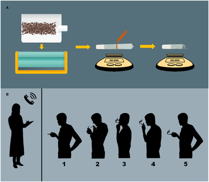 Administration procedures. (A) Preparation of cannabis cigarettes. Cannabis cigarettes are machine-rolled using cigarette paper and then inserted into a plastic cigarette holder. A line is drawn at the half-way point and the participant is instructed to smoke 50% of the cigarette. Cannabis consumption is verified via pre- and post-administration weighing of cigarettes. (B) Cued-smoking procedure. From a separate room with a two-way mirror, an investigator (who has no other contact with participants) guides participants through cued-smoking procedures. (1) The participant is presented with the cannabis cigarette, and then instructed to (2) “Prepare” (light the cigarette and prepare to smoke), (3) “Inhale” (5 s), (4) “Hold smoke in lungs” (10 s), and (5) “Exhale.” This cycle is repeated, allowing a 40 s interval between puffs, until 50% of the cigarette is pyrolized.