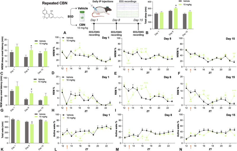 Effects of repeated CBN exposure on sleep and wake in rats.A Study design. CBN increased B total sleep time over days (CBN main effect, χ21 = 5.291, P = 0.021; there was no CBN treatment by day interaction, inconsistent with tolerance). CBN increased C NREM sleep onset latency (CBN main effect, χ21 = 5.632, P = 0.018). The effects of repeated CBN on % NREM on days D 1, E 8, and F 15 were subject to a degree of tolerance (CBN main effect, χ21 = 7.946, P = 0.005, CBN and day interaction, χ22 = 8.48, P = 0.014). CBN increased G REM sleep onset latency (CBN main effect, χ21 = 4.073, P = 0.044). CBN affected % REM over days H 1, I 8, and J 15 (CBN main effect, χ21 = 14.822, P = 0.0001; CBN and time interaction, χ210 = 100.778, P < 0.0001). The effects of repeated CBN on % REM sleep were different over days (CBN, time and day interaction, χ220 = 47.475, P = 0.001). Repeated CBN decreased K total wake time (CBN main effect, χ21 = 5.467, P = 0.019, but no CBN and day interaction). CBN decreased % active wake over days L 1, M 8, and N 15 (CBN and time interaction, χ210 = 40.168, P < 0.0001), which was subject to tolerance (CBN, time and day interaction, χ220 = 32.219, P = 0.041). Time is expressed relative to lights on (ZT). Dunn–Šidák corrected multiple comparisons test *P < 0.05, **P < 0.01, ***P < 0.001, ****P < 0.0001. Error bars display ± SEM, n = 8 per group. CBN cannabinol, BSD between-subjects design, EEG electroencephalography, EMG electromyography, IP intraperitoneal, NREM non-rapid eye movement sleep, REM rapid eye movement sleep, ZT zeitgeber time. Created with BioRender.com.