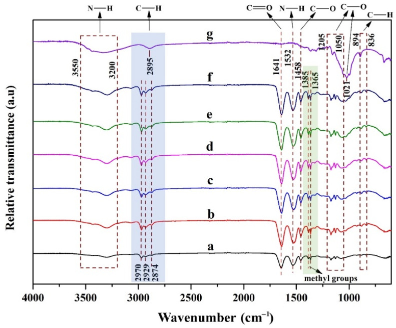 FT-IR spectra of thermo-responsive injectable hydrogels: (a) PNIPAAm/Cs/CNC0, (b) PNIPAAm/Cs/CNC10, (c) PNIPAAm/Cs/CNC50, (d) PNIPAAm/Cs/CNC100, (e) PNIPAAm/Cs/CNC150, (f) PNIPAAm/Cs/CNC300 and (g) Cellulose nanocrystals.