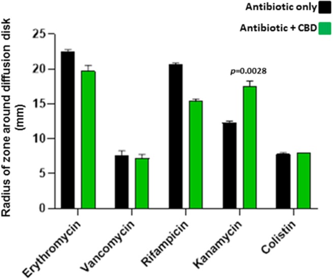 CBD sensitizes Gram-positive bacteria S. aureus subsp. aureus Rosenbach to kanamycin. Combinatory treatment of CBD with a range of antibiotics showed enhanced antibacterial effects of kanamycin only on S. aureus, as assessed by an increased radius of zone around the diffusion disk (p = 0.0028). CBD did not enhance bactericidal activity for the other antibiotics tested and reduced bactericidal effects of both erythromycin (p = 0.0325) and rifampicin (p = 0.0001). CBD application in isolation did not form a halo around the diffusion disk in the S. aureus plates, opposed as to what was observed in E. coli, and CBD treatment in isolation is therefore not included in the histogram. Exact p-values are shown.
