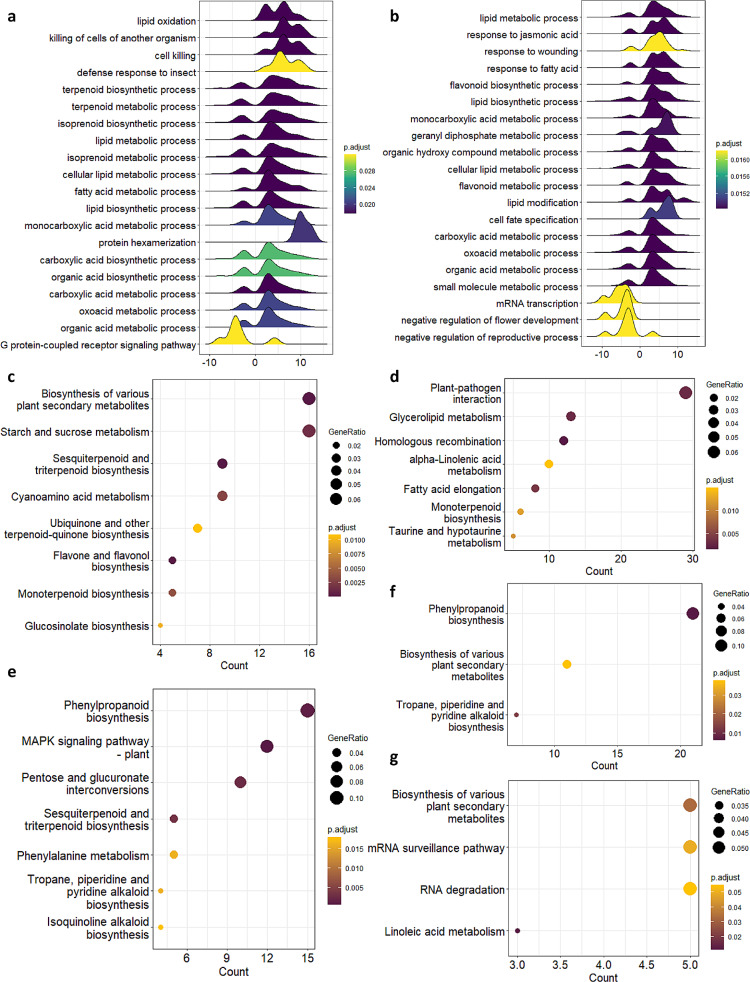 Analysis of glandular trichome specific gene expression and histone marks yields functional insights. (a) Pairwise gene set enrichment analysis (GSE) leveraging Leaf and (b) Stem RNA datasets. KEGG ontology analysis of glandular trichome specific chromatin types (c) H3K4me3 (d) H3K56ac (e) H3K4me3-H3K27me3 (f) H3K27me3 and (g) H2A.Z