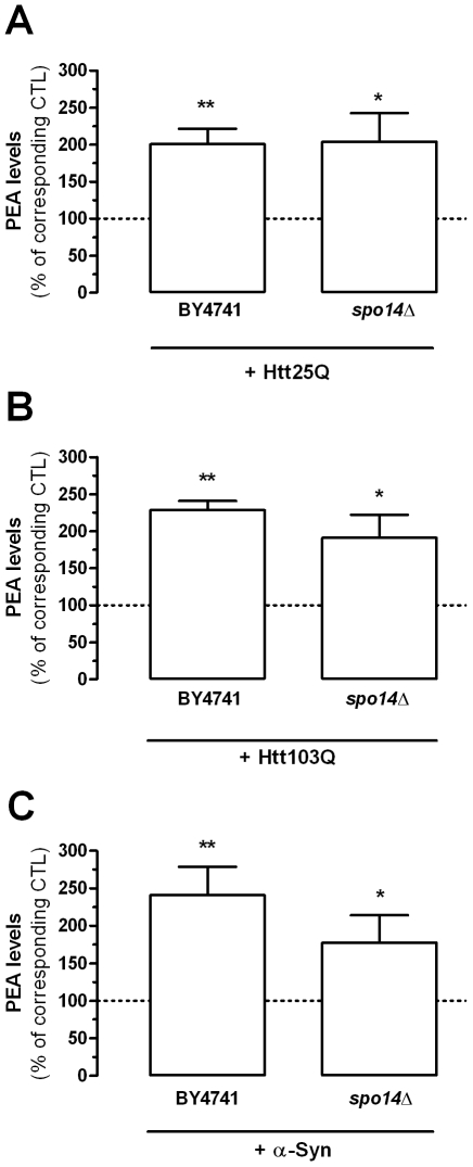 Htt fragments and α-synuclein increase PEA production in yeast.PEA levels found in BY4741 yeast strains expressing a 25Q and 103Q huntingtin fragment and in yeast strain expressing α-synuclein (BY4741) were compared to BY4741 strains expressing an empty vector (dotted line). Similarly PEA levels found in SPO14 gene-deleted yeast strains expressing the same proteins (spo14Δ) were compared to spo14Δ strains expressing an empty vector (dotted line) (A–C). Values are the mean±SEM of three to five experiments performed in duplicate and are expressed as percentage of corresponding control (empty vector expressing BY4741 strain and empty vector expressing spo14Δ strain, respectively). ** P<0.05 and ** P<0.01 compared to respective control (unpaired two-tailed Student's t-test).