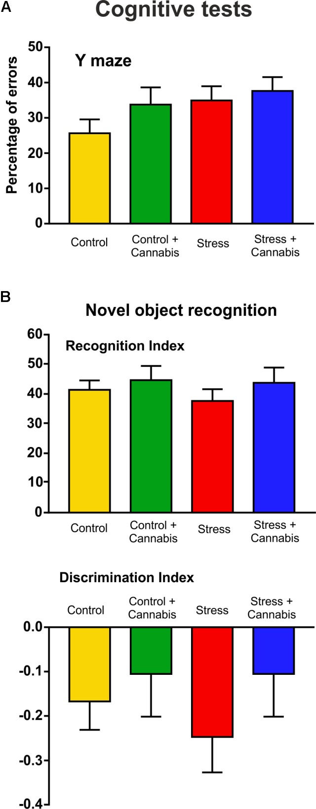 Results of the cognitive tests: Neither stress, nor marijuana exposure affected the cognitive abilities of the animals. Cognitive performances were measured in the Y maze (A) and with the novel object recognition test (B). (A) Stressed and/or cannabis treated mice tended to make more errors in the Y maze test, i.e., they entered to arms which have been recently visited, but statistically there was no difference between the groups. (B) The recognition indexes (time spent with novel object/time spent with both objects × 100) were also similar for all experimental groups. Marijuana treated animals had the tendency to have a lower discrimination index [(time spent with novel object – time spent with familiar object)/time spent with both objects], but statistically this was not significant. Data were analyzed with a two-way ANOVA (stress × cannabis treatment).