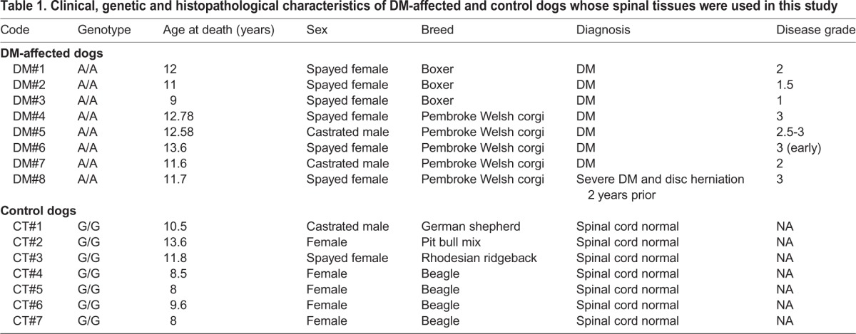 Clinical, genetic and histopathological characteristics of DM-affected and control dogs whose spinal tissues were used in this study