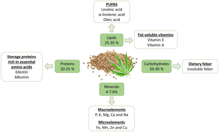 Macro and micronutrient nutritional value of hemp seeds.