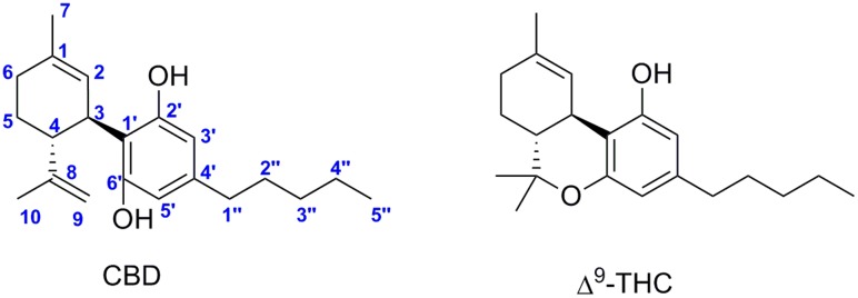 Cannabidiol (CBD) and (–)-trans-Δ9–tetrahydrocannabinol (Δ9–THC).