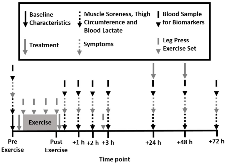 Schematic of experimental design.