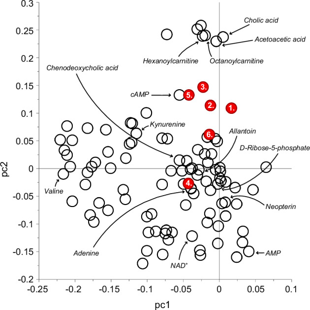 Factor means and individual metabolites plotted on the two first principal components of the 92 metabolites.Only the metabolites found associated with the factor hallucinations are named in this illustration. 1. Delusions, 2. Paranoia, 3. Hallucinations, 4. Negative symptoms, 5. Thought disorder, and 6. Dissociative symptoms. AMP adenosine monophosphate, cAMP cyclic AMP, NAD+ nicotinamide adenine dinucleotide.