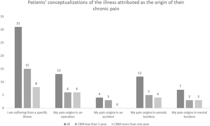 Patients’ conceptualizations of the illness attributed as the origin of their CP, both overall and according to the duration of treatment with cannabis-based medicine (CBM).