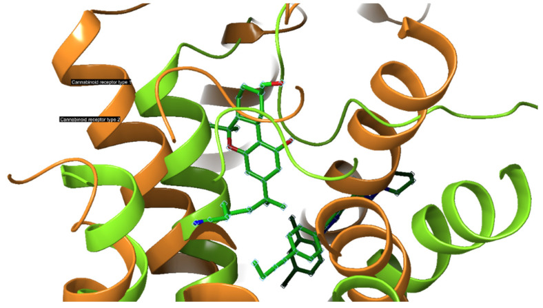 Comparison of the binding pocket of CB1-R and CB2-R. Modified using Schrödinger Release software 2021-4: Maestro, Schrödinger, LLC, New York, NY, 2021.
