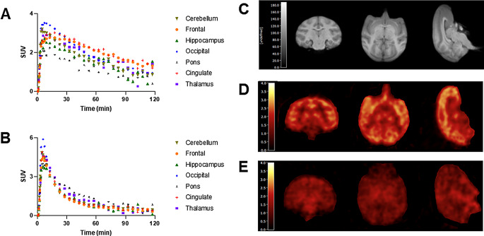 Time-activity curves in selected brain regions of NHP from the baseline (A) and blocking (B) scans. (C) Representative MR Image for ROI segmentation. (D) PET images averaged from 30 to 45 min after (R)-[11C]YH168 injection under baseline (tracer only), and (E) blockade conditions (tracer and 0.1 mg/kg PF-06795071)