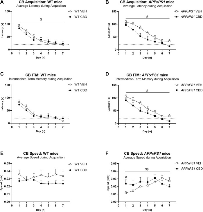 Long-term CBD improves average latency, intermediate-term memory latency, and speed during cheeseboard acquisition in APPxPS1 female mice. Latency [s] and speed [m/s] when finding the food reward in the cheeseboard in APPxPS1 and WT mice treated daily with 20 mg/kg CBD for 8 months. (A,B) Average latency [s] to find the food reward (averaged across 3 trials per day) during acquisition of the cheeseboard task. (C,D) Intermediate-term memory latency [s] (i.e., average latency for trials 2 and 3 of each day) during acquisition. (E,F) Average speed [m/s] (averaged across three trials per day) during cheeseboard acquisition. The dotted line in (A–D) indicates the 20-s cut-off threshold for acquisition. In (A,B), a “days” × “genotype” interaction (p = 0.02) was detected, and in (C,D), a “days“ × “genotype” interaction (p = 0.004) was detected. In (E,F), a “days“ × “treatment” interaction was detected; when split by “treatment,” there was a “days” × “genotype” interaction (p = 0.02) in VEH-treated mice. Splitting by “day” confirmed “genotype” differences on days 1–3 (p-values < 0.02). Data analysed using three-way RM ANOVA and presented as mean ± SEM in separate graphs for visual clarity. When data were split by the corresponding factor, significant “treatment” effects in APPxPS1 mice are indicated by hash symbols (# p < 0.05); interactions between “treatment” and “days” are indicated by ‘$’ ($ p < 0.05; $$ p < 0.01). N = 13 WT VEH, 16 APPxPS1 VEH, 14 WT CBD, and 10 APPxPS1 CBD. Abbreviations: APPxPS1: amyloid precursor protein x presenilin 1; CB: cheeseboard; CBD: cannabidiol; ITM: intermediate-term memory; VEH: vehicle; WT: wildtype-like.