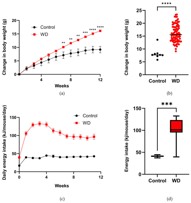 Establishment of disease model over 12 weeks for the Control group (n = 10) on normal chow and the group on a Western-style diet (WD) to generate the MASH disease model (n = 80). (a) Cumulative change in body weight over 12 weeks showing a statistical increase in weight from week 7 for the disease group and (b) cumulative change in weight at week 12 showing population distribution with median. (c) Energy consumption in kJ/mouse/day over the 12 weeks showing a statistical increase in consumption from week 1 and (d) the average energy consumption of mice per week. Statistical analyses of data (see Section 4.6 for details): (a,c) normally distributed; (b,d) not normally distributed. Abbreviations: **, p < 0.01; ***, p < 0.001; ****, p < 0.0001; kJ, kilojoules; WD, Western-style fast-food diet.