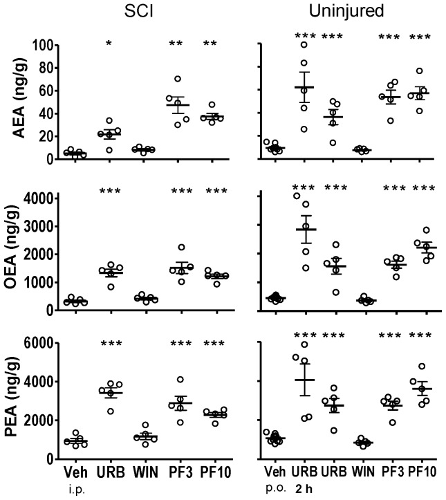 Fatty acid amide concentrations in thoracic spinal cord segments rostral to the spinal injury from SCI rats or comparable thoracic spinal cord segments from uninjured rats following treatment with FAAH inhibitors, WIN 55,212-2 and vehicle.Both SCI and uninjured rats were treated with either URB597 (URB; 3 mg/kg, i.p.), WIN 55,212-2 (WIN; 3 mg/kg, s.c.) or vehicle (Veh; 1.5 ml/kg, i.p.) for seven days and euthanized four hours following the last treatment. Rats that received PF-3845 (PF3, PF10) were treated once (3, 10 mg/kg, p.o.) and euthanized four hours following dosing. One group of uninjured rats was treated once with URB597 and euthanized two hours (2 h) following treatment. The FAA levels of thoracic spinal cord of uninjured rats from this figure are repeated for Figures 3 and 4. Levels of AEA, OEA and PEA from each rat are shown, the thick horizontal line is the mean and the thin horizontal lines are the S.E.M. n = 4–10/group. * p<0.05, **p<0.01, ***p<0.001 vs. vehicle (Student's t-test).
