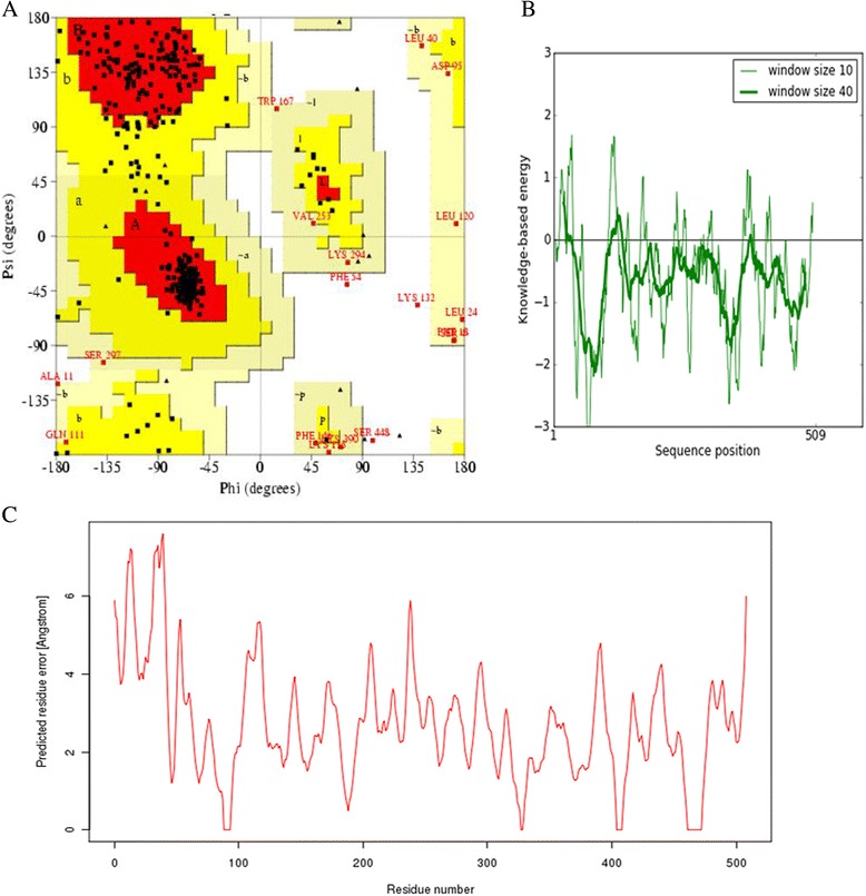 Structural Quality Assessment. (A) Ramachandran plot of orphan cytochrome P450 4X1 protein showing the distribution of residues in favored, allowed and outlier regions. (B) PROSA Z-score with respect to residue. (C) Q-Mean score.