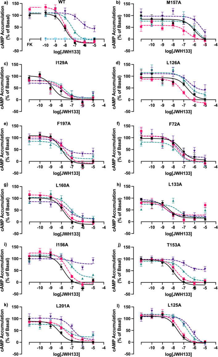 Effect of Ec2la on WT CB2 and CB2 mutants in the presence of CB2 agonist JWH133 in cAMP accumulation assays. FK-induced (7.5 μM) cAMP accumulation dose–response curves monitoring the effect of Ec2la on WT CB2 and CB2 mutants using a CB2 selective agonist, JWH133. (a) WT CB2, (b) M1574.49A, (c) I1293.48A, (d) L1263.45A, (e) F1975.46A, (f) F722.42A, (g) L1604.52A, (h) L1333.52A, (i) I1564.48A, (j) T1534.45A, (k) L2015.50A, and (l) L1253.44A. Figure 3b–h shows cAMP signaling curves of CB2 mutants demonstrating a loss and/or alteration in allosteric signal in the presence of CB2 allosteric modulator, Ec2la, and CB2 selective agonist, JWH133. Figure 3i–l shows cAMP signaling curves of CB2 mutants still demonstrating an allosteric effect in the presence of CB2 allosteric modulator, Ec2la, and CB2 selective agonist, JWH133. Although these mutants still remain to have an allosteric effect, there is still an alteration of the signal demonstrating that these amino acids could be involved in the proposed site, but it is less likely. [Black = vehicle control (no Ec2la), pink = 0.1 μM Ec2la, green = 1 μM Ec2la, purple = 10 μM Ec2la, light blue = Ec2la alone]. FK alone represents 100%. Data are represented as mean ± SEM as percentage of accumulation normalized to the vehicle control from three independent experiments done in triplicate. [See Table S4 for pEC50/pIC50 values where statistical tests were performed to compare the pIC50/pEC50 values of each condition of Ec2la (0.1, 1, 10 μM) vs vehicle control (no Ec2la) in GraphPad Prism using a repeated measures one-way ANOVA with Dunnett’s multiple comparisons test (* < 0.05)].