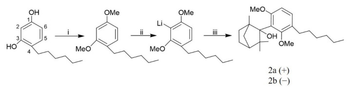 Synthesis of 2-(3′-hexyl-2′,6′-dimethoxyphenyl)-1,3,3-trimethylbicyclo[2.2.1]heptan-2-ol analogs (2a, 2b) a. a Reagents and conditions: (i) Potassium carbonate, anhydrous DMF and iodomethane. (ii) n-Butyllithium in hexane and anhydrous THF. (iii) Fenchone and anhydrous THF.