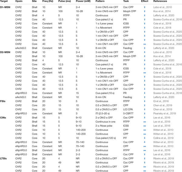 fnsyn-13-734975-t001.jpg