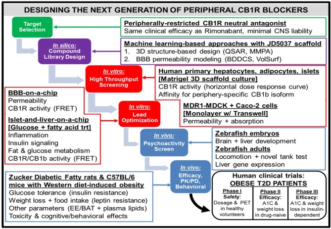Workflow for the design of a hypothetical “next-generation” peripheral CB1R blocker. At all phases of the design process, efficacy (i.e., metabolic effects on peripheral organs) as well as safety [i.e., impermeability to blood-brain barrier (BBB)] will receive equal emphasis. Computerized techniques such as quantitative structure-activity relationship (QSAR) modeling and matched molecular pair analysis (MMPA) will help identify potential leads by utilizing scaffolds of existing CB1R inhibitor compounds (e.g., JD5037). In parallel, these leads will be subjected to the sorting scheme of Biopharmaceutical Drug Disposition and Classification System (BDDCS) (159) in order to filter out compounds with undesirable BBB penetrability. Two successive in vitro screening procedures will be utilized on the remaining lead compounds. The first will consist of a high-throughput screen, using primary cells from relevant peripheral tissues to characterize efficacy and Transwell permeability assays to characterize safety. Importantly, the desired activity profile for a neutral antagonist will consist of a horizontal dose-response curve in which all concentrations of drug lead to CB1R activity unchanged from baseline levels. The second in vitro screen will optimize the lead candidates, using more sophisticated 3-D organoid models that closely mimic human physiological conditions. To ensure precise quantification of each lead compound's CB1R activity as well as imaging of each compound's receptor binding affinity for the receptor, newly developed CB1R biosensors based on fluorescence resonance energy transfer (FRET) (160) can be incorporated into the procedure. The two-step design will also guide the approach to pre-clinical testing of the potential compounds in vivo. Starting with an initial “medium-throughput” screen using zebrafish embryos and adults, the non-psychoactive compounds that demonstrate high efficacy will be administered to rodents. Both rats and mice with metabolic dysfunction will be utilized, and the mice will be given a high-fat and high-sugar Western diet as opposed to the traditional high-fat diet used to induce pathology. The compound that emerges victorious from this final phase will be submitted for FDA approval as a general agent of metabolic improvement, which could potentially lead to an official designation as a therapeutic for Metabolic Syndrome. The trial population will focus on obese patients with Type 2 diabetes, and thus will have primary endpoints of both glycated hemoglobin (A1C) and weight loss over time. A potential advancement for the conduction of these clinical trials will be the emergence of imaging techniques for CB1R binding in peripheral tissue (161), similar to PET scans for the brain.