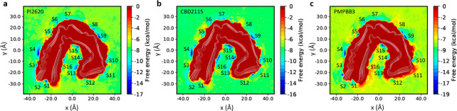 Free energy surfaces for the binding of tracers to AD tau derived from metadynamics simulations. (a) Free energy surfaces for the binding of PI2620. (b) Free energy surface for the binding of CBD2115. (c) Free energy surface for the binding of PM-PBB3. The identified binding sites are labeled with “S” and site identifier.