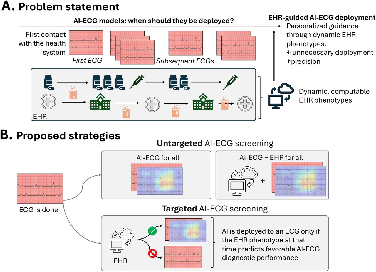 Targeted deployment of AI screening technologies in the EHR.(A) Problem statement: Across their longitudinal care in an integrated health system, individuals may receive multiple diagnostic tests, including standard 12-lead electrocardiograms (ECG). ECG phenotypes evolve in tandem with the broader clinical profile of an individual, as recorded and computed in the electronic health record (EHR). Artificial intelligence (AI)-guided technologies may screen for structural heart disease (SHD) directly from ECGs, but there is currently no data-driven strategy to enable their targeted deployment, to minimize false discovery and unnecessary downstream testing. (B) Potential strategies: The integration of AI-ECG technologies may follow different strategies. For example, AI-ECG can be deployed opportunistically across all eligible ECGs with or without incorporating EHR-derived clinical characteristics into the modeling (“untargeted strategy”). Alternatively, the computable phenotypes of individuals in the EHR may be leveraged as gatekeepers to prevent unnecessary deployment of AI-ECG, potentially optimizing the precision of the technology (“targeted strategy”). AI: artificial intelligence; ECG: electrocardiography; EHR: electronic health record.