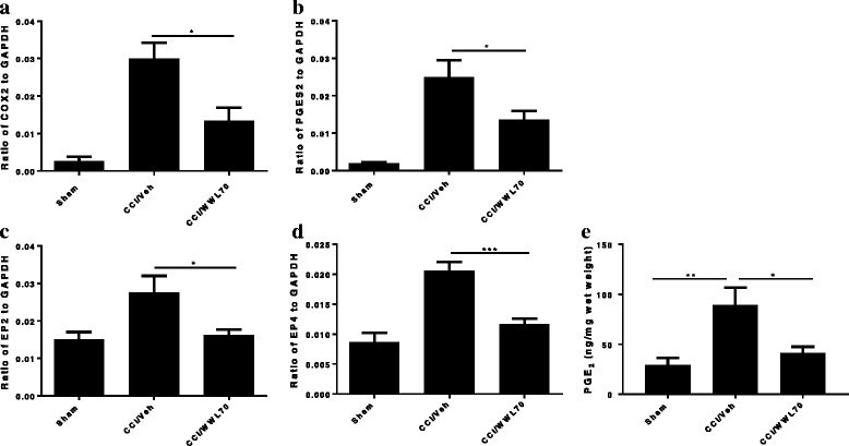 WWL70 treatment reduced PGE2 synthesis in CCI mouse sciatic nerve. The fresh sciatic nerves from mice 7 days post-CCI surgery were subjected to qRT-PCR analysis. The enzymes that contribute to the PGE2 synthesis COX-2 (a) and PGES2 (b) were greatly increased in CCI vehicle group and reduced by WWL70 (10 mg/kg). *p < 0.05. The increased expression of EP2 and EP4 receptor in the CCI vehicle mice was also attenuated by WWL70 treatment (c, d; *p < 0.05 and ***p < 0.001; mean ± S.E.M., n = 10). PGE2 production was measured by EIA assay. Significantly increased PGE2 in the vehicle group was remarkably blocked by WWL70 administration ((e), *p < 0.05 and **p < 0.01; mean ± S.E.M., n = 7)