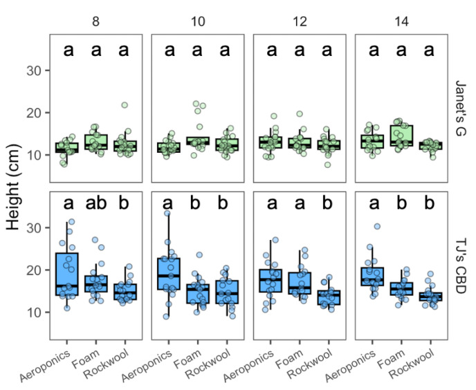 Height (cm) compared across transplanted days and propagation systems—aeroponics, rockwool, and (Horticultural) foam—using Cannabis sativa L. Mean separation across propagation systems is indicated with letters, using Tukey’s Honest Significant Difference at p < 0.05.