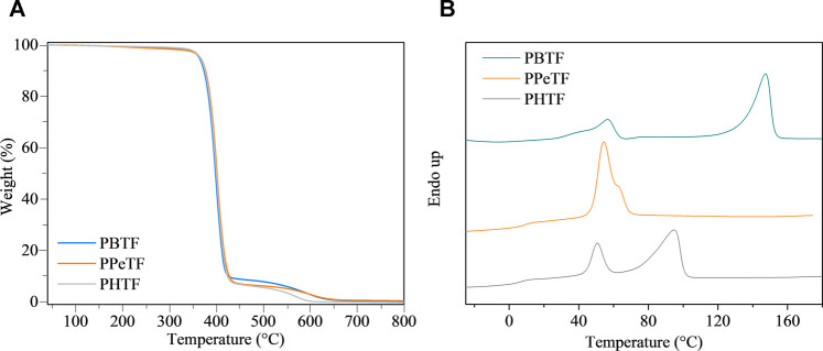 (A) Thermogravimetric curves under nitrogen atmosphere (gas flow 30 ml/min and heating rate 10°C/min) and (B) first DSC scan curves of the homopolymers under investigation.