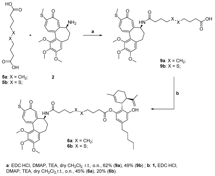 Synthesis of the N-desacetyl thiocolchicines-CBD conjugates 6a,b.
