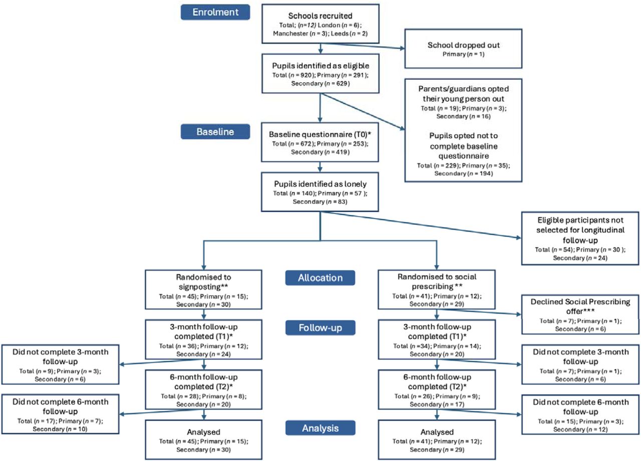 CONSORT flow diagram of participant recruitment, allocation, follow-up and analysis