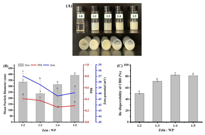 Re-dispersibility of freeze-dried CBD-loaded nanoparticles as demonstrated by nanoparticle appearance (A), mean particle diameter, PDI, zeta-potential (B), and re-dispersibility of CBD (C). Note: different lowercase letters indicate the significant difference (p < 0.05) between samples at different biopolymer ratio.