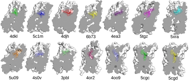 The experimentally determined high-resolution GPCR structures, together with their bound ligands, used in the MD-based studies discussed in this review. Nanobodies and other interacting proteins were removed. PDB 4dkl, The antagonist β-FNA bound to the MOP receptor; PDB 5c1m, The agonist BU72 bound to the MOP receptor; PDB 4djh, The antagonist JDTic bound to the KOP receptor; PDB 6b73, The agonist MP1104 bound to the KOP receptor; PDB 4ea3, The peptide mimetic antagonist compound 24 bound to the NOP receptor; PDB 5tgz, The antagonist AM6538 bound to the CB1 receptor; PDB 5xra, The agonist AM11542 bound to the CB1 receptor; PDB 5u09, The inverse agonist taranabant bound to the CB1 receptor; PDB 4s0v, The antagonist suvorexant bound to the OX2 receptor; PDB 3pbl, The antagonist eticlopride bound to the D3 receptor; PDB 4or2, The negative allosteric modulator FITM bound to the transmembrane domain of mGluR1; PDB 4oo9, The negative allosteric modulator mavoglurant bound to the transmembrane domain of mGluR5; PDB 5cgc, The negative allosteric modulator 3-chloro-4-fluoro-5-[6-(1H-pyrazol-1-yl)pyrimidin-4-yl]benzonitrile bound to the transmembrane domain of mGluR5; PDB 5cgd, The negative allosteric modulator 3-chloro-5-[6-(5-fluoropyridin-2-yl)pyrimidin-4-yl]benzonitrile bound to the transmembrane domain of mGluR5.