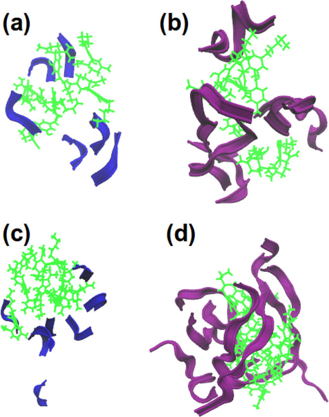 Screenshots of the final simulation frame: (a) 6 Aβ(31–35) and 6 CBD; (b) 6 Aβ(25–35) and 6 CBD; (c) 8 Aβ(31–35) and 8 CBD; (d) 8 Aβ(25–35) and 8 CBD. Here, green molecules are CBD, purple ribbons are Aβ(25–35), and blue ribbons are Aβ(31–35).